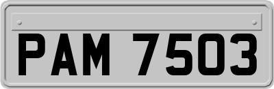 PAM7503