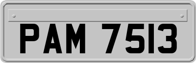 PAM7513