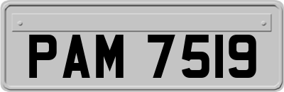 PAM7519