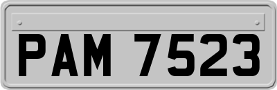 PAM7523