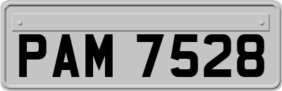 PAM7528