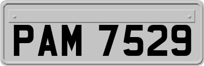 PAM7529