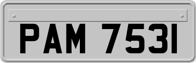 PAM7531