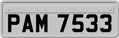 PAM7533