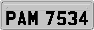 PAM7534