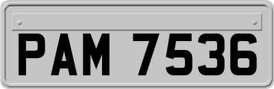 PAM7536