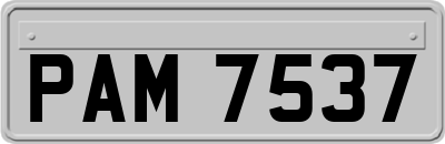 PAM7537