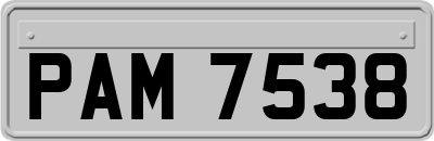 PAM7538