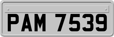 PAM7539