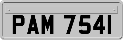 PAM7541