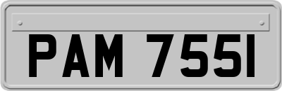 PAM7551