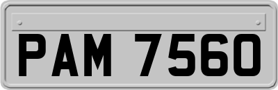 PAM7560