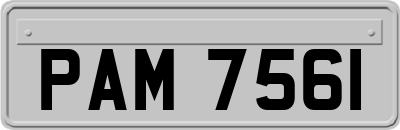 PAM7561