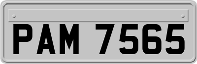 PAM7565