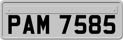 PAM7585
