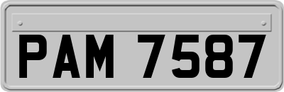 PAM7587