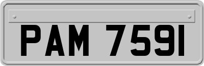 PAM7591