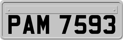 PAM7593