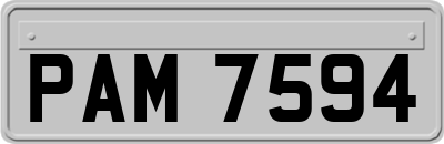 PAM7594