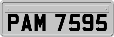 PAM7595