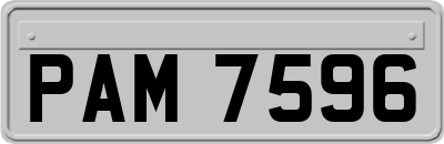 PAM7596