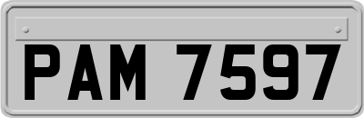 PAM7597