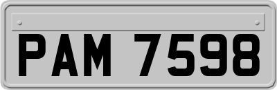 PAM7598