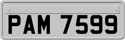 PAM7599