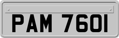 PAM7601