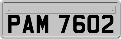 PAM7602