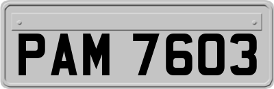 PAM7603