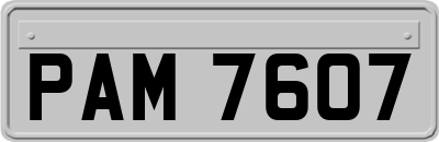 PAM7607