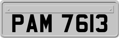 PAM7613