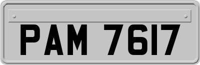 PAM7617