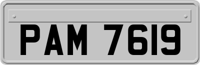 PAM7619