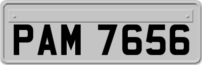 PAM7656