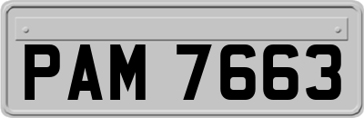 PAM7663