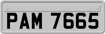 PAM7665