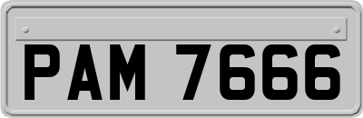 PAM7666