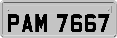 PAM7667