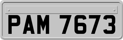 PAM7673