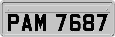 PAM7687