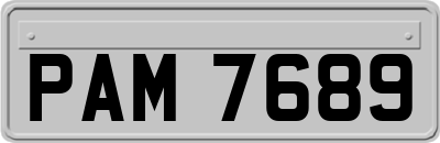 PAM7689