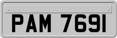PAM7691
