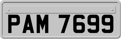 PAM7699
