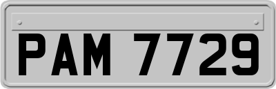 PAM7729