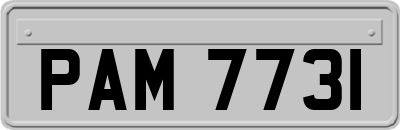 PAM7731