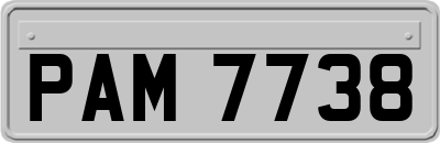 PAM7738