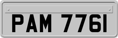 PAM7761