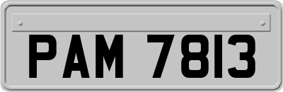 PAM7813